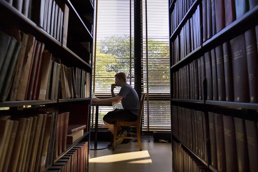 A student studying in Gavlin Library